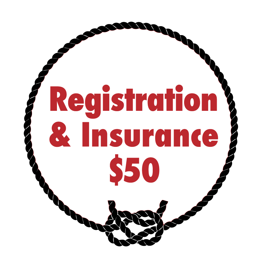 Registration and Insurance